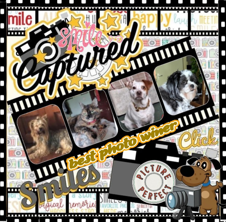 Alfie of the Oldwoman family