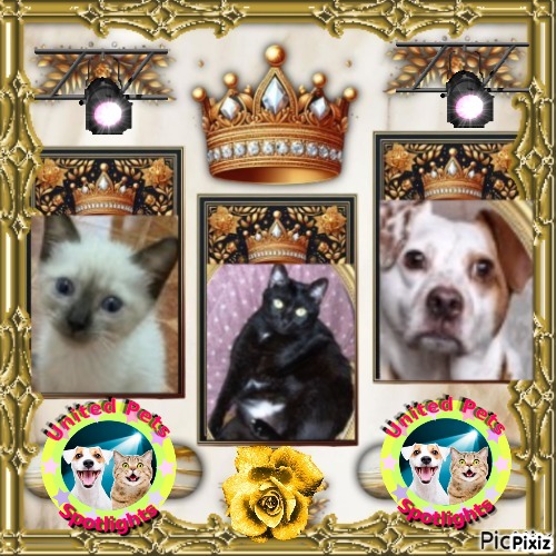 Oldwoman uploaded   53  day/s  ago