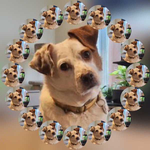 Alfie of the Oldwoman family