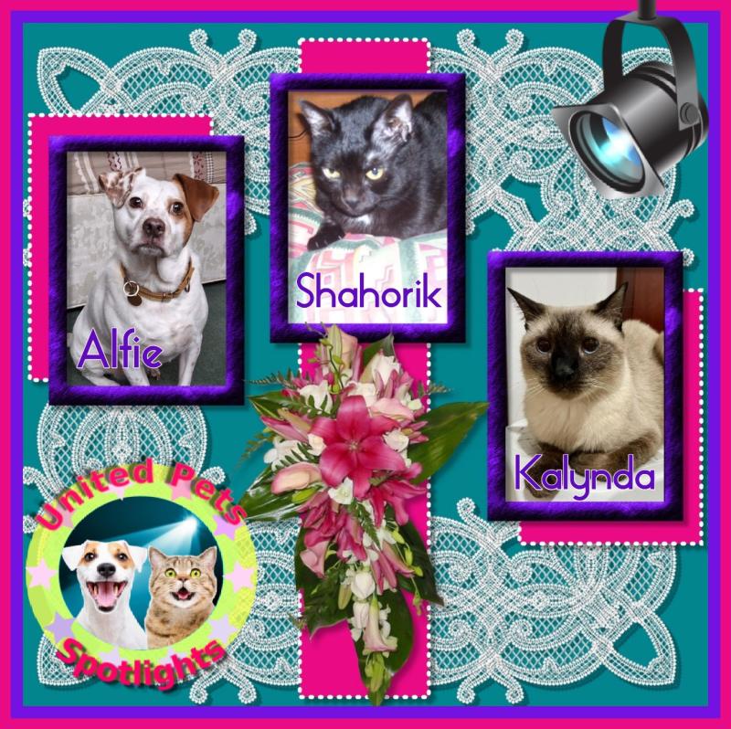 Oldwoman uploaded   53  day/s  ago