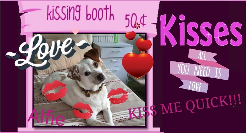 Oldwoman uploaded   88  day/s  ago