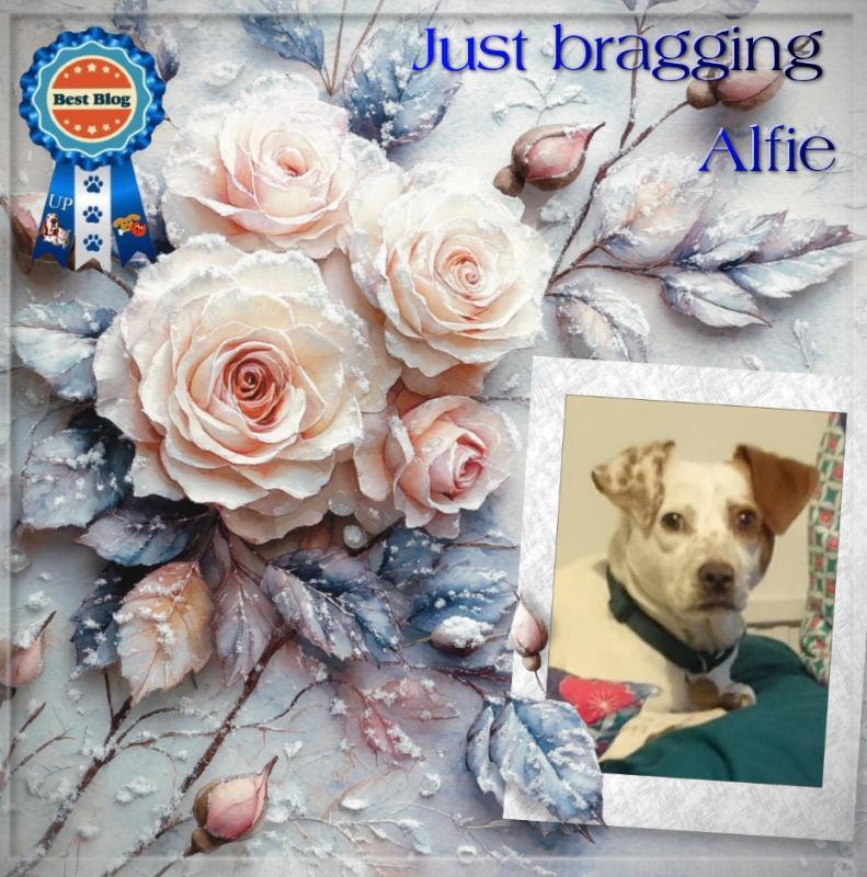 Oldwoman uploaded   82  day/s  ago