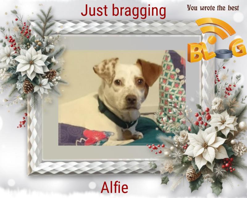 Alfie of the Oldwoman family