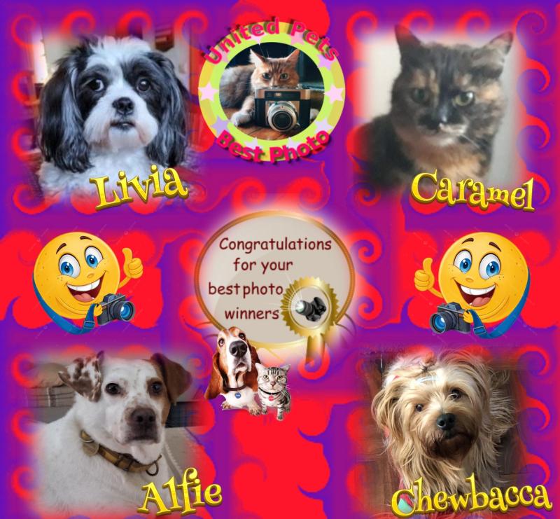 Oldwoman uploaded   53  day/s  ago