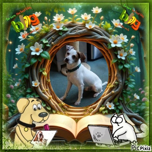 Oldwoman uploaded   82  day/s  ago