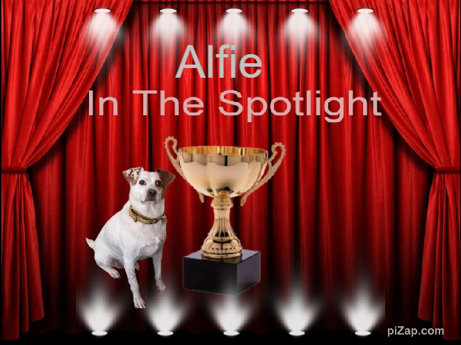 Oldwoman uploaded   53  day/s  ago