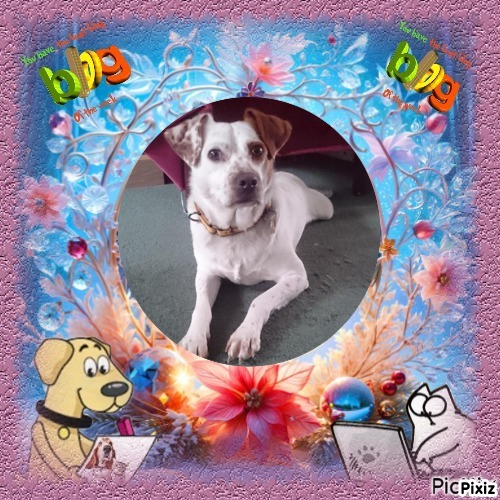 Oldwoman uploaded   82  day/s  ago