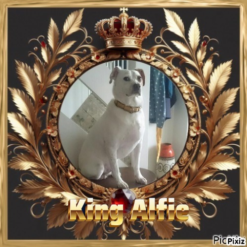 Alfie of the Oldwoman family