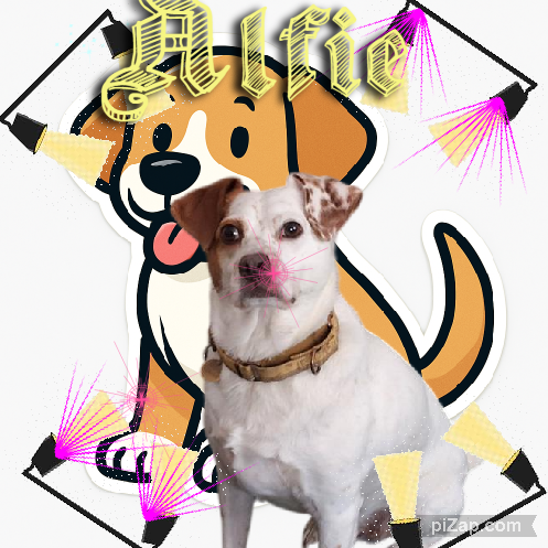 Oldwoman uploaded   53  day/s  ago