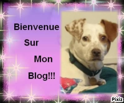 Oldwoman uploaded   82  day/s  ago