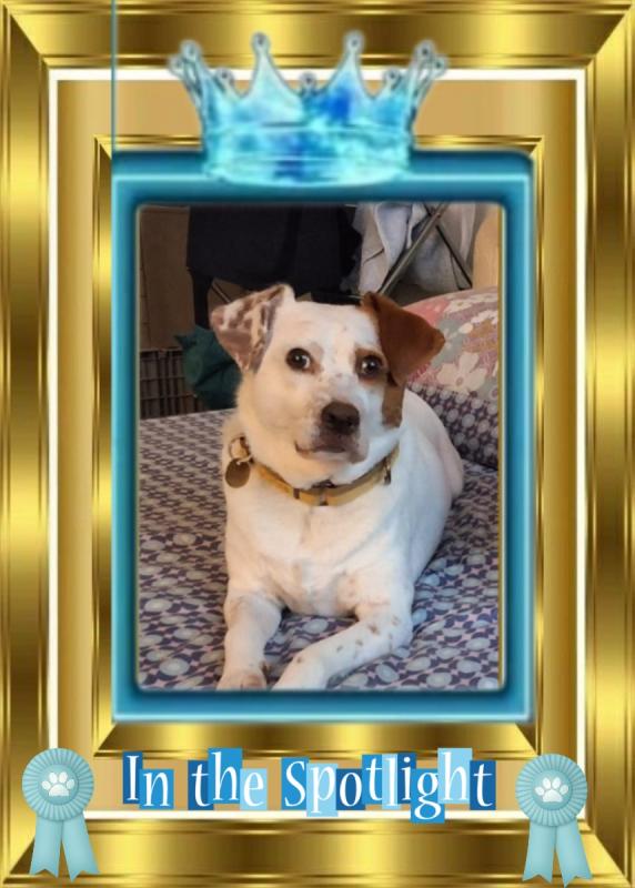 Oldwoman uploaded   53  day/s  ago