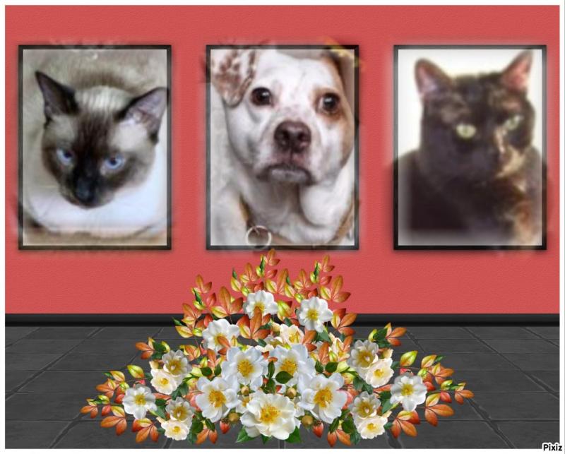 Alfie of the Oldwoman family