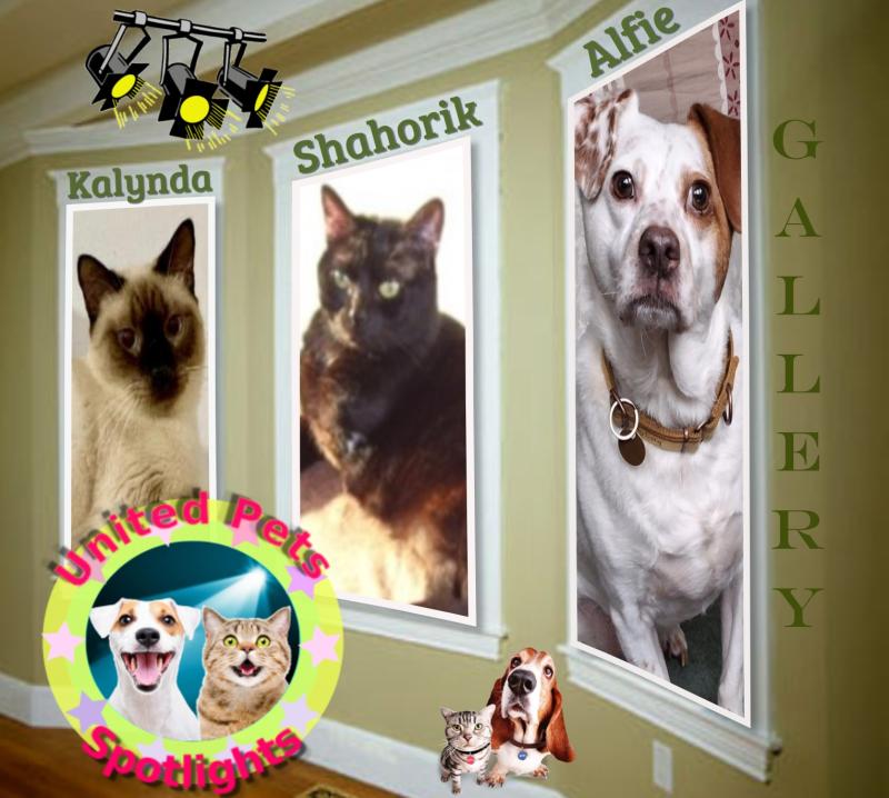 Oldwoman uploaded   53  day/s  ago