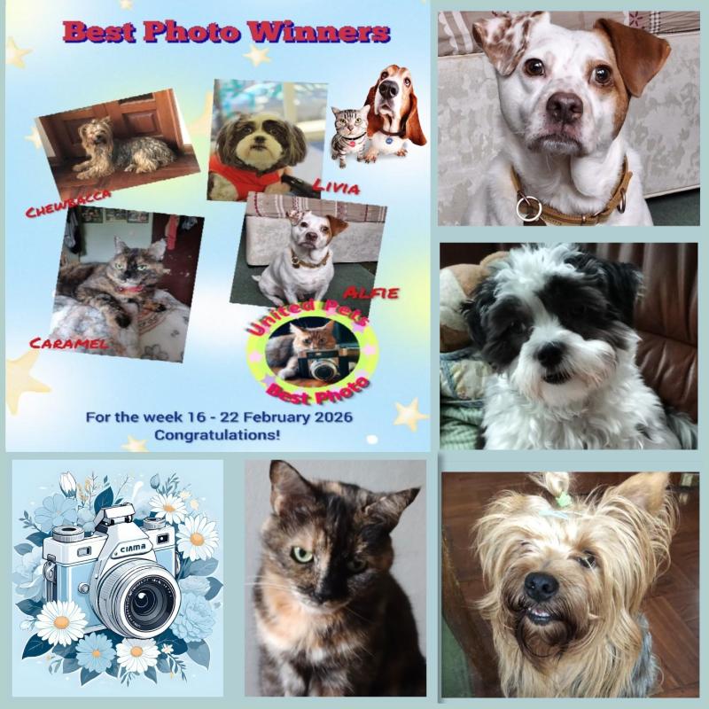 Oldwoman uploaded   53  day/s  ago