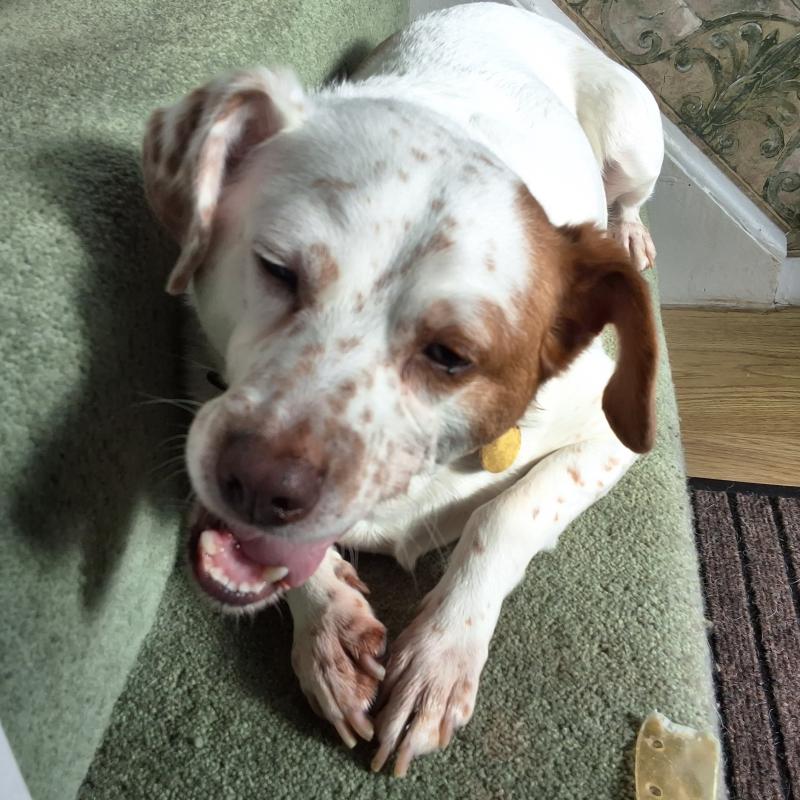 Alfie of the Oldwoman family