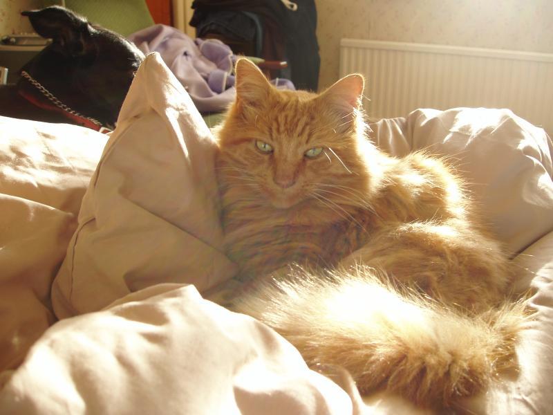 Oldwoman uploaded   2 year/s ago