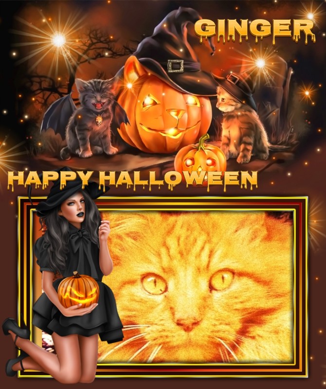 Ginger of the Oldwoman family