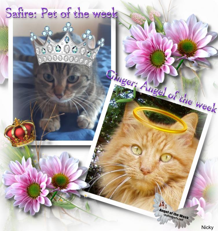 Ginger of the Oldwoman family