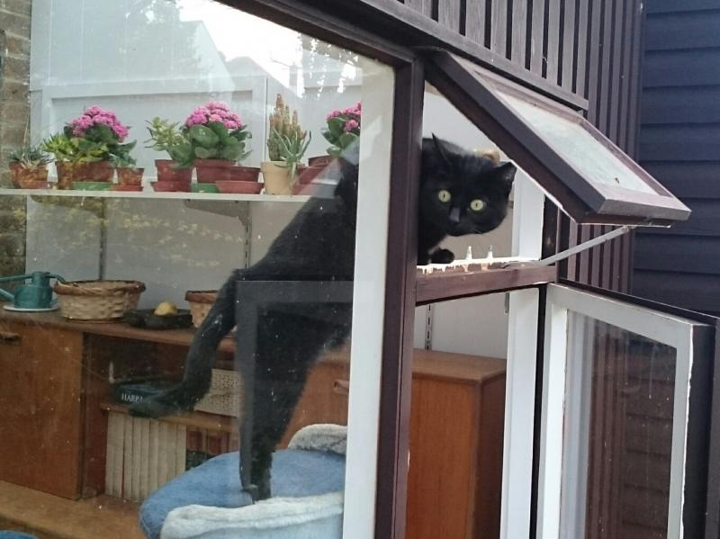 Oldwoman uploaded   9 year/s ago