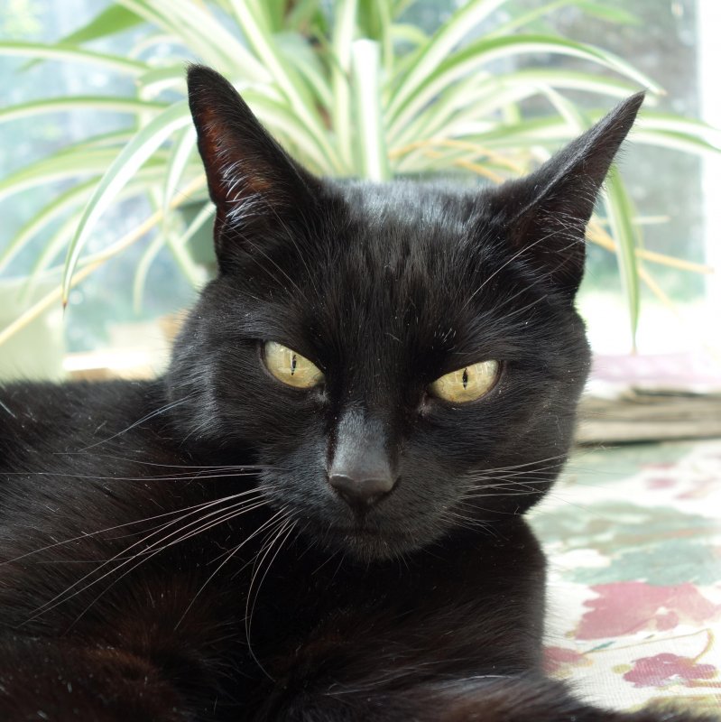 Oldwoman uploaded   5 year/s ago