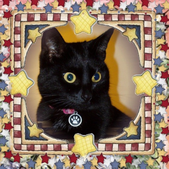 Tilde of the Oldwoman family