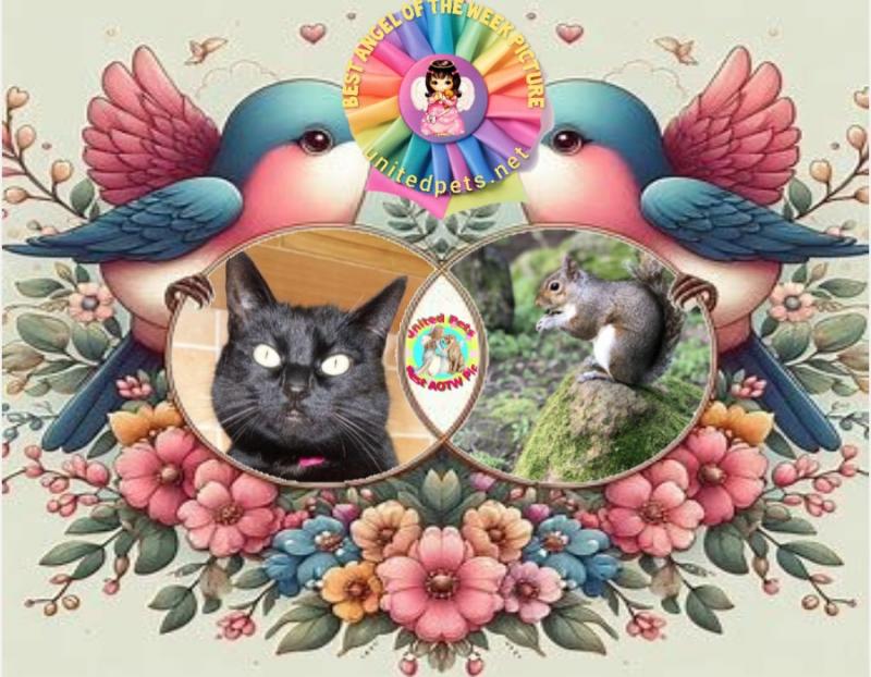 Tilde of the Oldwoman family