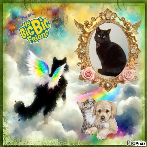 Oldwoman uploaded   34  day/s  ago