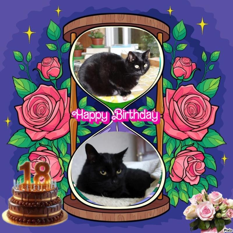 Tilde of the Oldwoman family