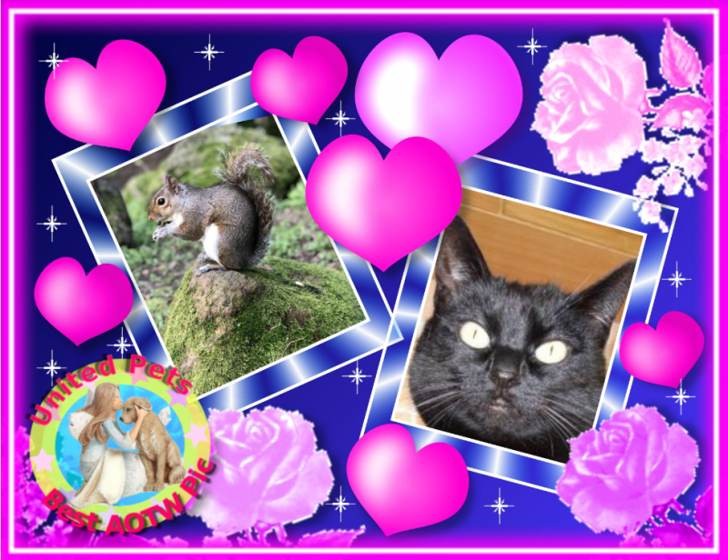 Tilde of the Oldwoman family