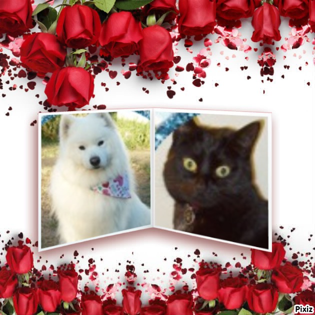 Oldwoman uploaded   34  day/s  ago