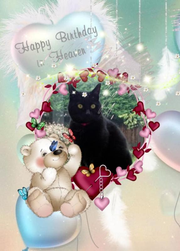 Tilde of the Oldwoman family