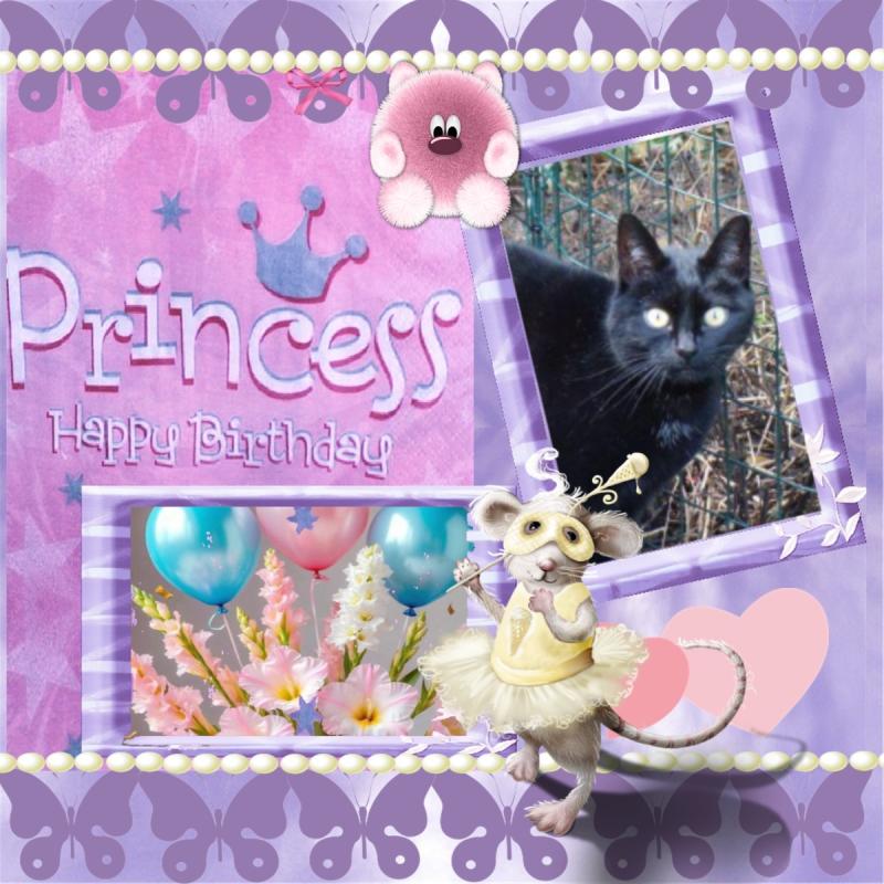 Tilde of the Oldwoman family