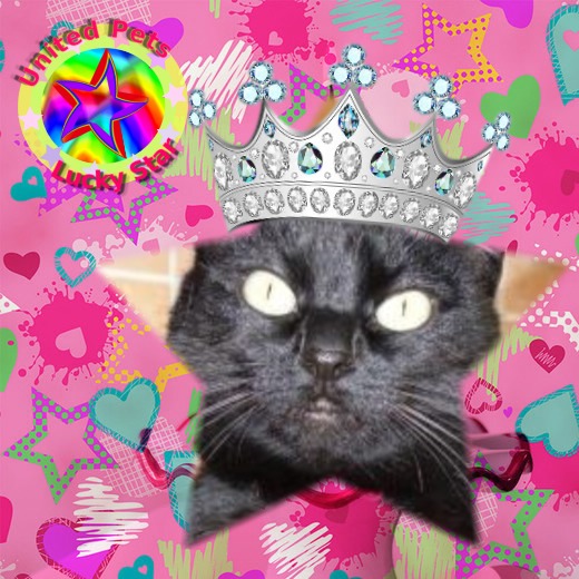 Tilde of the Oldwoman family