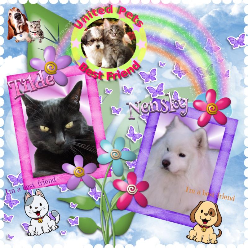 Oldwoman uploaded   34  day/s  ago