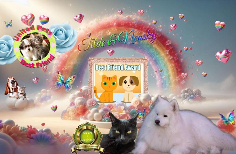 Oldwoman uploaded   34  day/s  ago