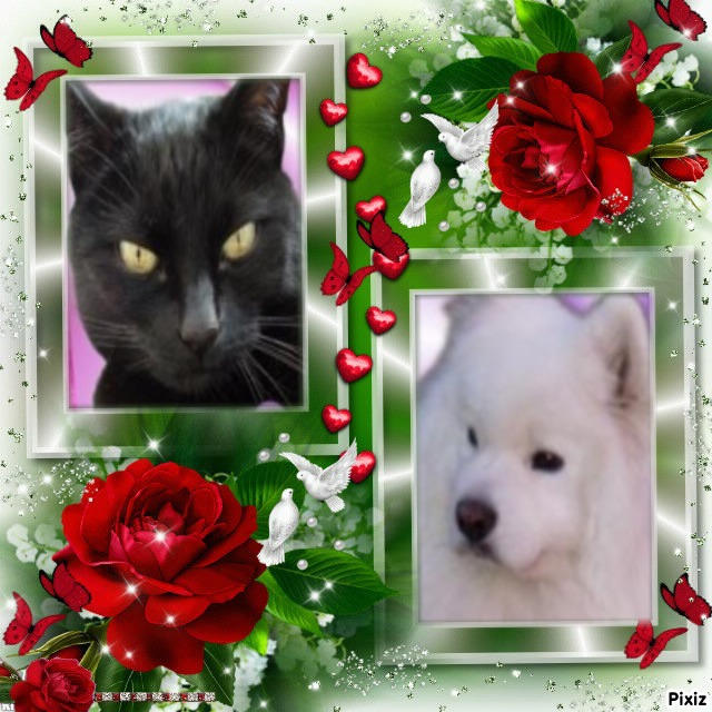 Oldwoman uploaded   34  day/s  ago