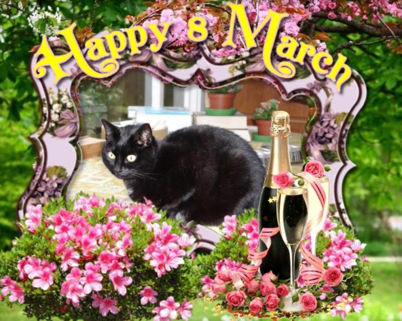 Tilde of the Oldwoman family