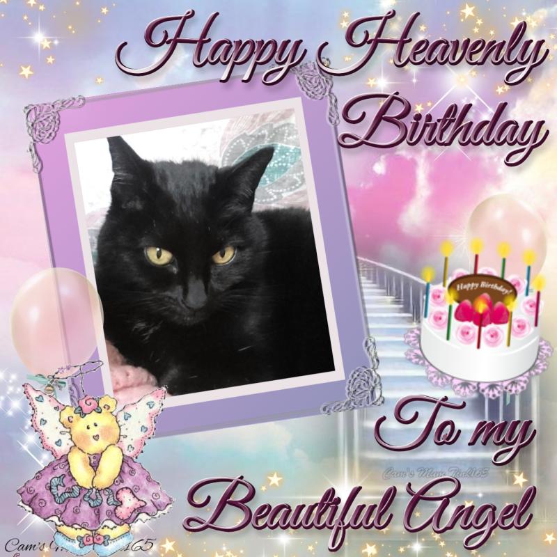 Tilde of the Oldwoman family