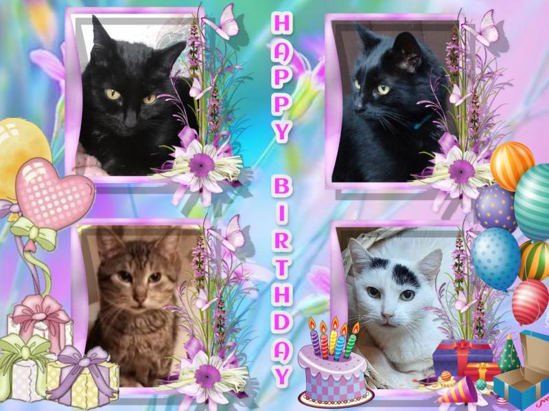 Tilde of the Oldwoman family