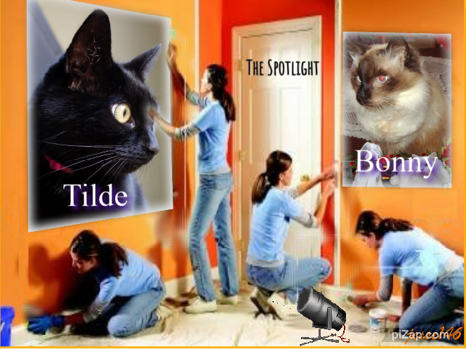 Tilde of the Oldwoman family
