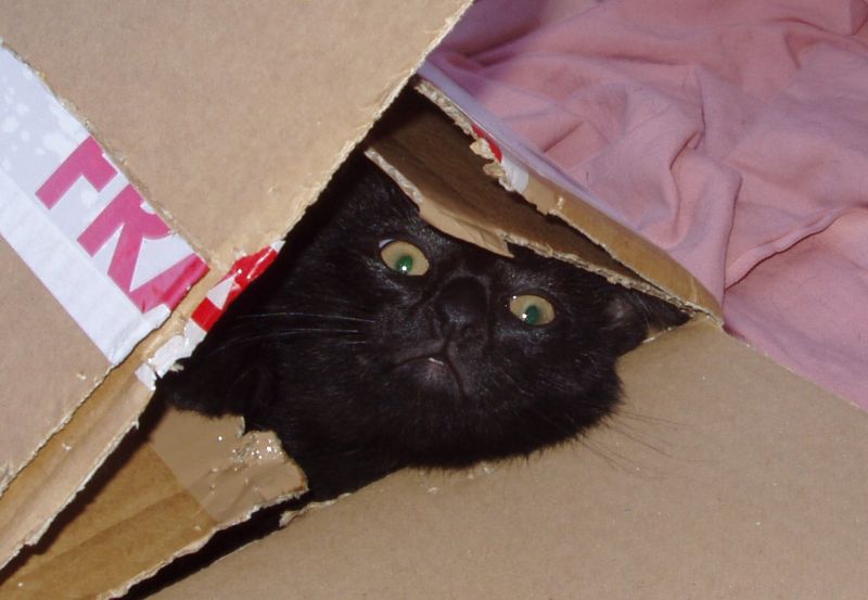 Oldwoman uploaded   10 year/s ago