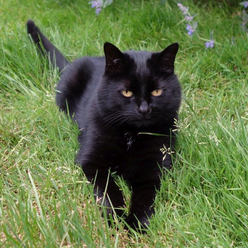 Oldwoman uploaded   6 year/s ago