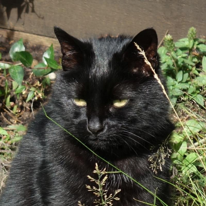 Oldwoman uploaded   5 year/s ago