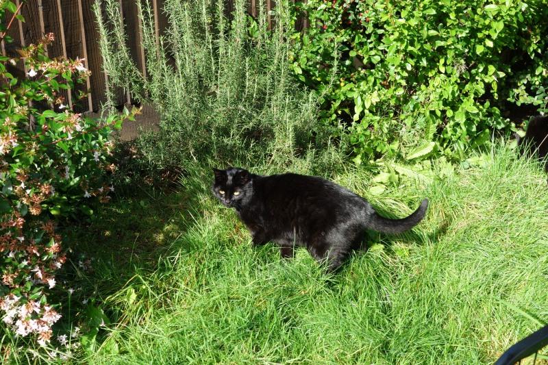 Oldwoman uploaded   5 year/s ago