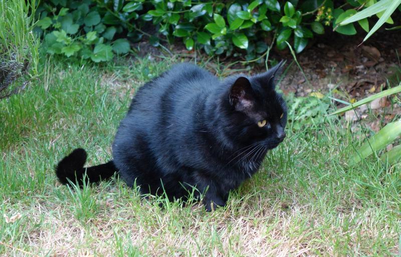 Oldwoman uploaded   4 year/s ago