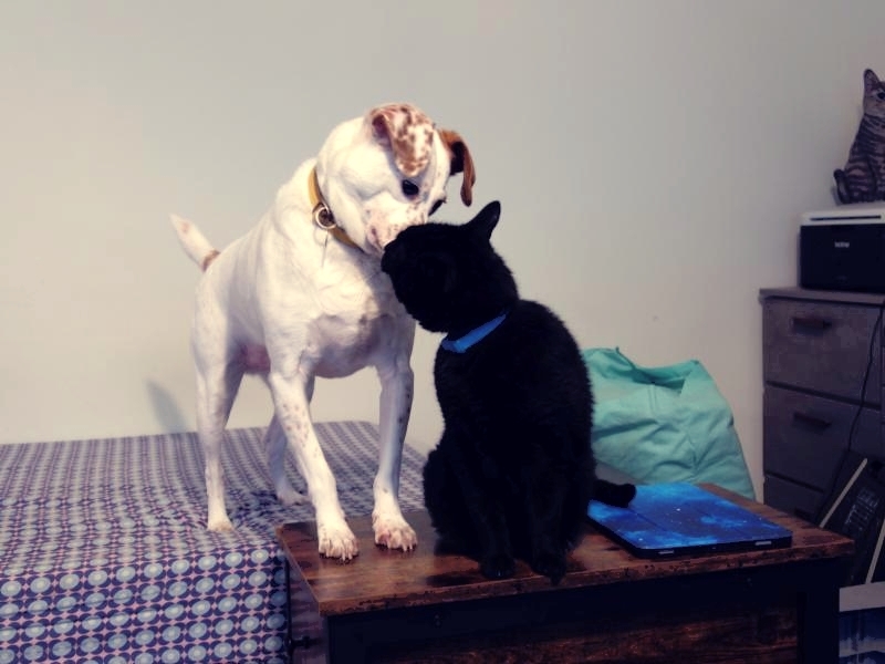 Oldwoman uploaded   2 year/s ago