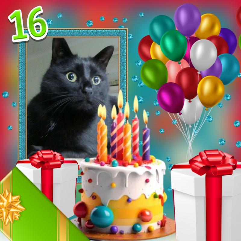 Oldwoman uploaded   2 year/s ago
