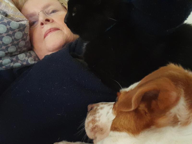 Oldwoman uploaded   2 year/s ago