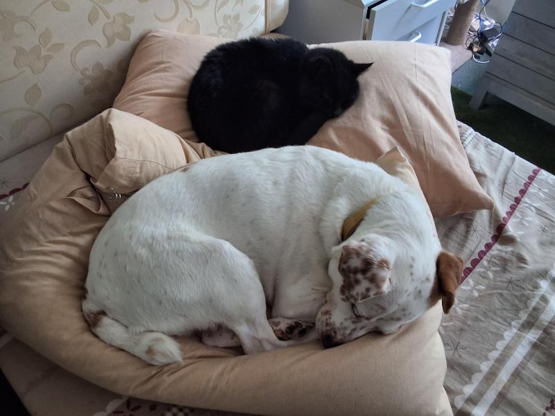 Tondo of the Oldwoman family