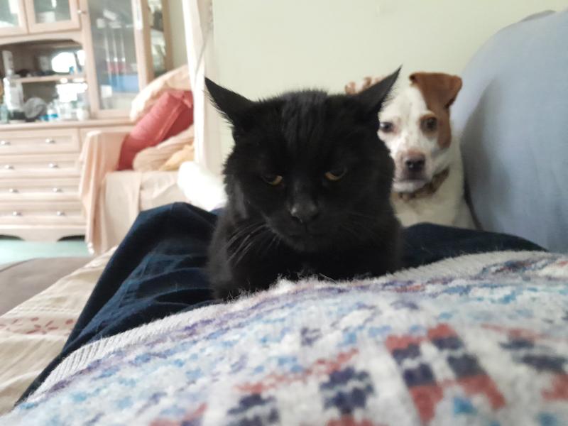 Tondo of the Oldwoman family